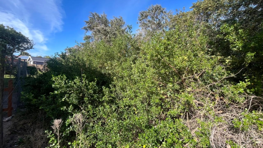 Commercial Property for Sale in Aston Bay Eastern Cape